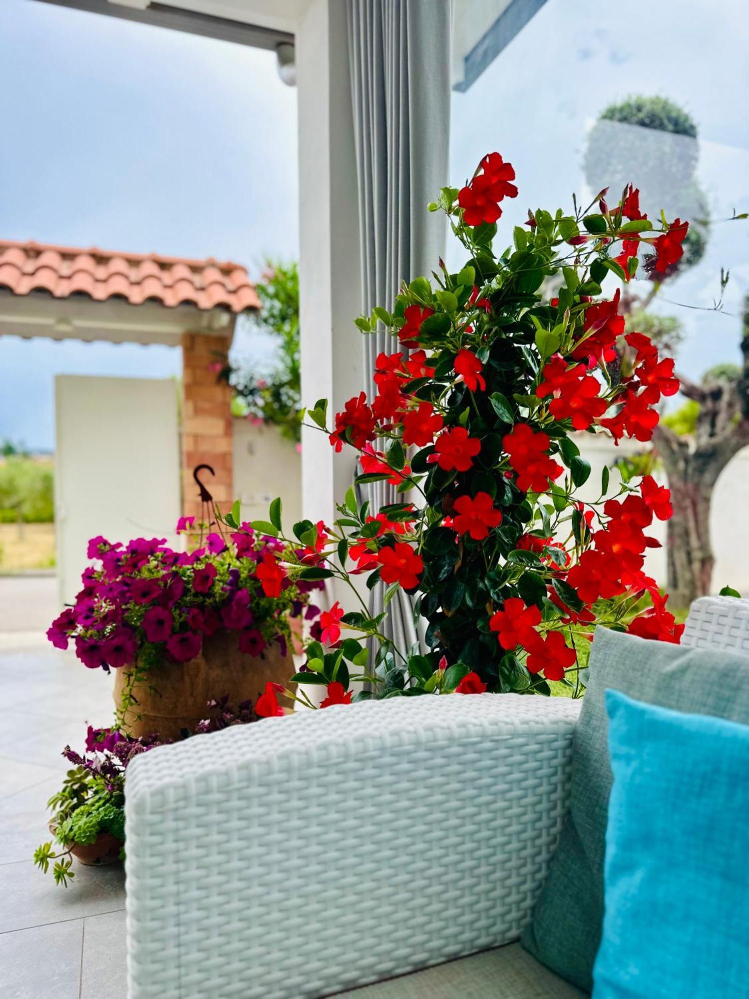 Invilla Bed&Breakfast - Quality Rooms Санта Мария ди Кастелабате Екстериор снимка