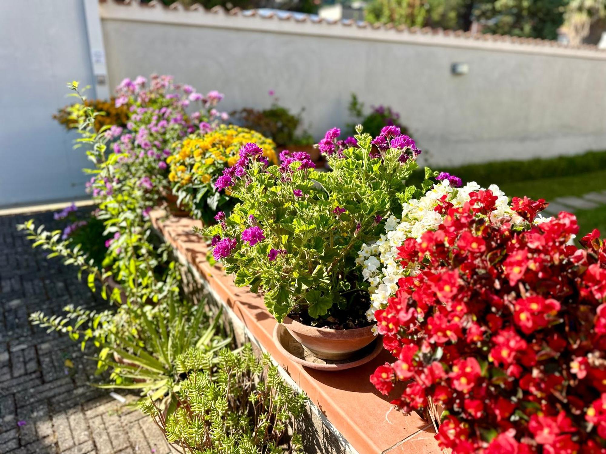 Invilla Bed&Breakfast - Quality Rooms Санта Мария ди Кастелабате Екстериор снимка